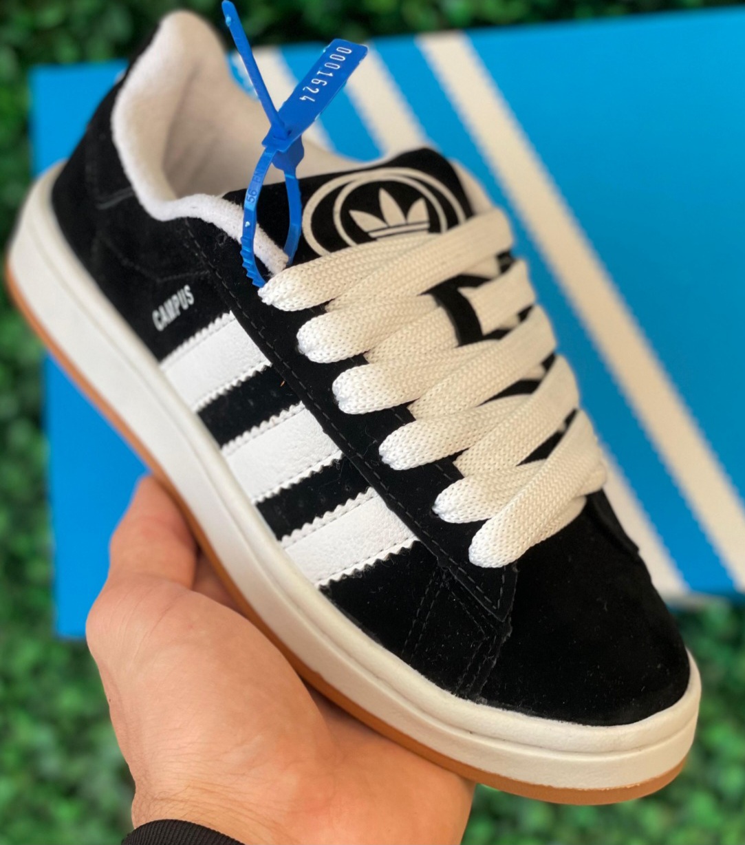 Adidas Campus - Tradicional