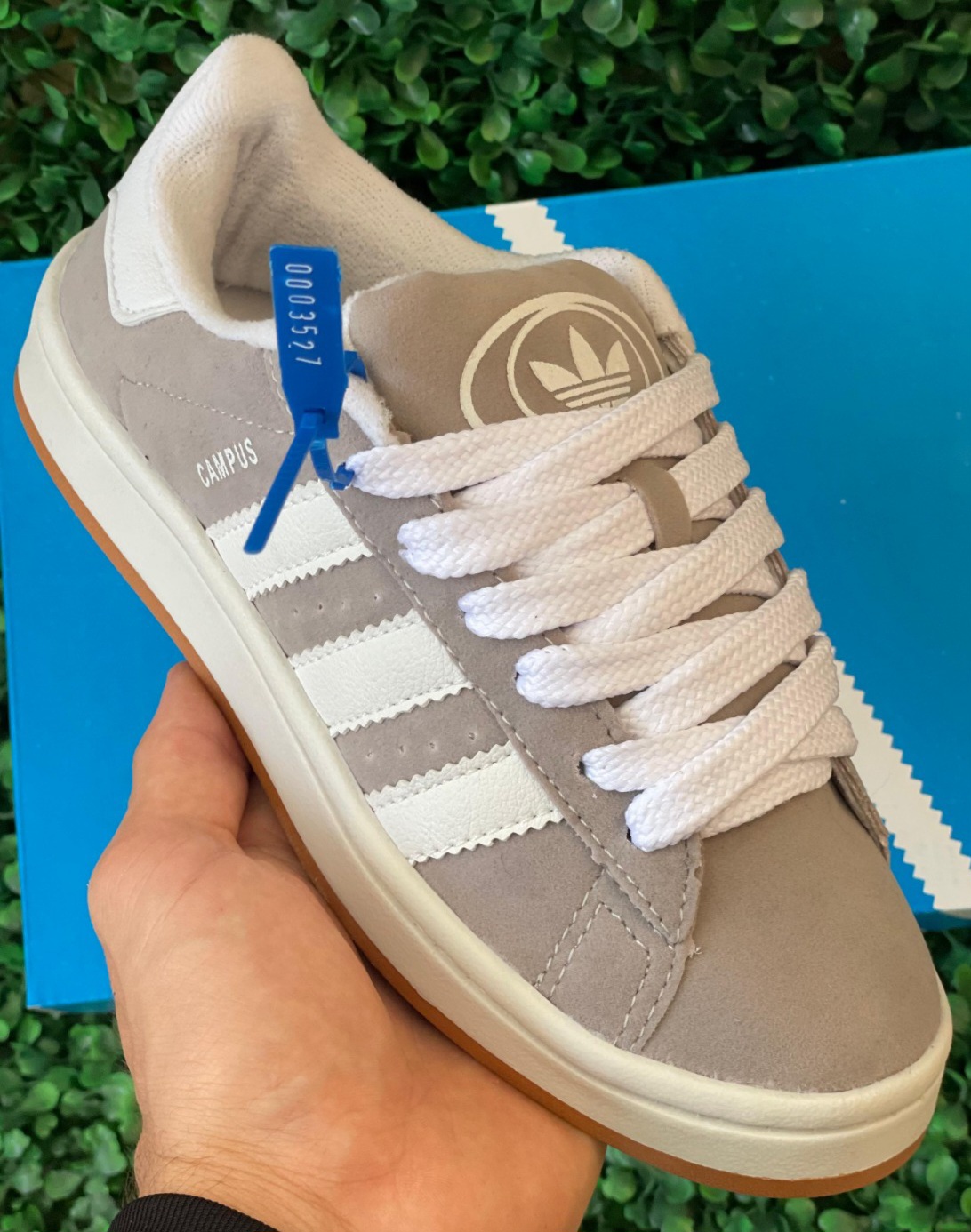 Adidas Campus - Bege